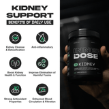Kidney Support - 3 Pack