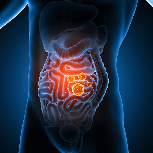 Signs Your Gut Needs Help: Tips for Better Digestive Health