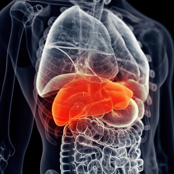 Boosting Liver Health: The Role Supplements Play