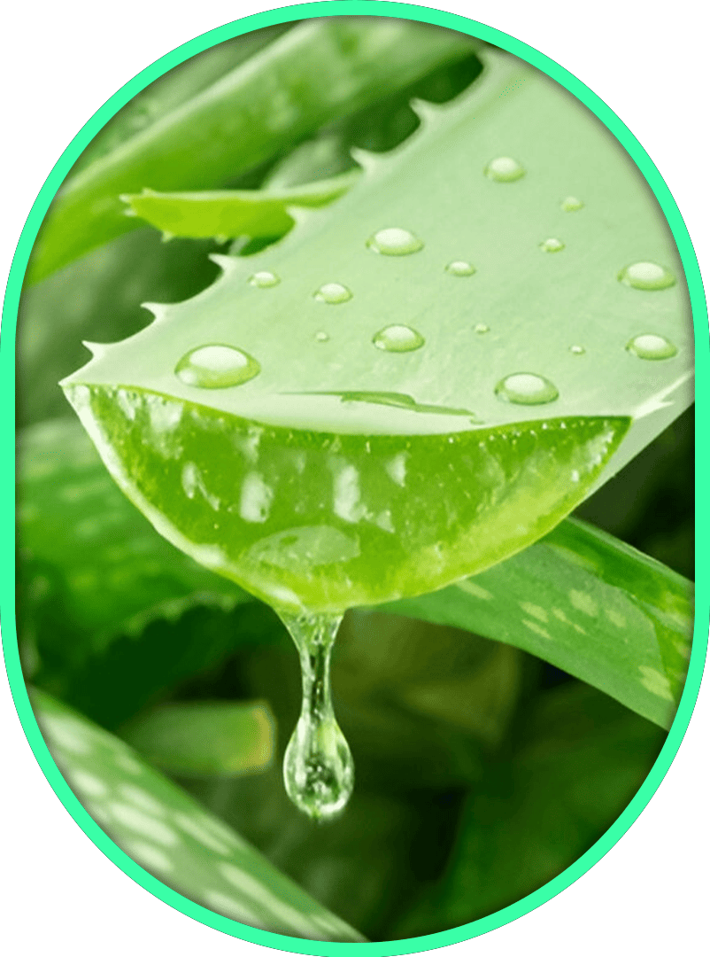 Inner Dose Nerve Relief Cream